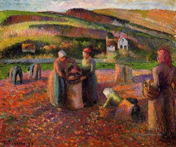 Camille Pissarro Painting - Cosecha de patatas 1893 Camille Pissarro